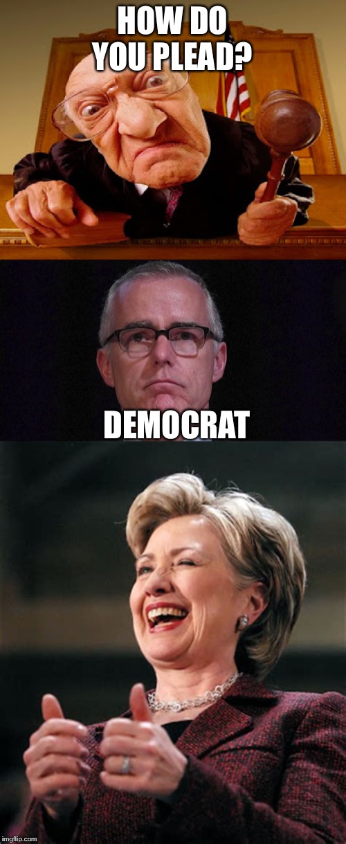 Democrats are above the law | HOW DO YOU PLEAD? DEMOCRAT | image tagged in democrats | made w/ Imgflip meme maker