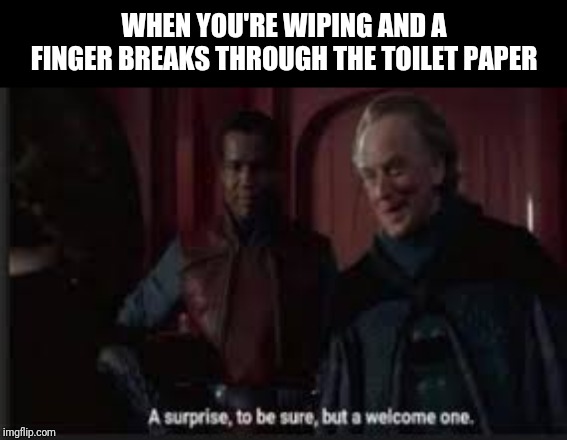 A surprise to be sure | WHEN YOU'RE WIPING AND A FINGER BREAKS THROUGH THE TOILET PAPER | image tagged in a surprise to be sure | made w/ Imgflip meme maker