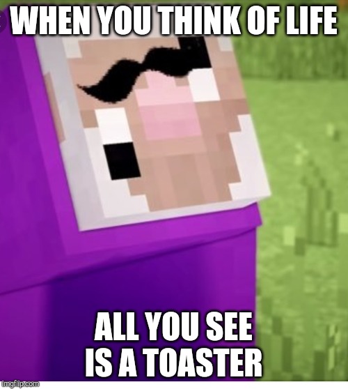 Purple Shep | WHEN YOU THINK OF LIFE; ALL YOU SEE IS A TOASTER | image tagged in purple shep | made w/ Imgflip meme maker