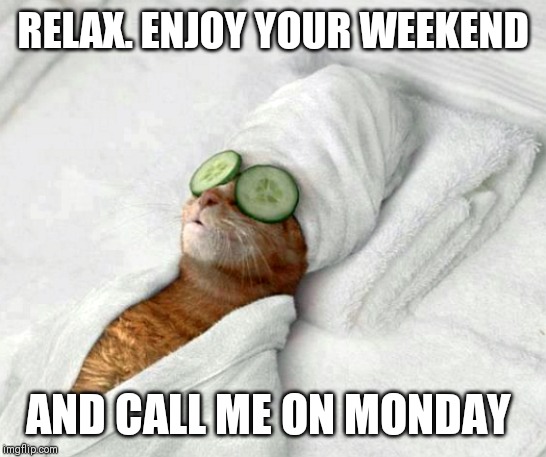 Relaxicat | RELAX. ENJOY YOUR WEEKEND; AND CALL ME ON MONDAY | image tagged in relaxicat | made w/ Imgflip meme maker
