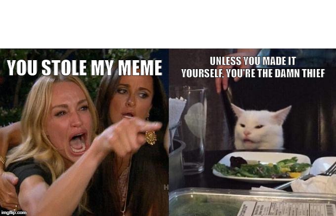Woman Yelling At Cat | UNLESS YOU MADE IT YOURSELF, YOU'RE THE DAMN THIEF; YOU STOLE MY MEME | image tagged in memes,woman yelling at cat | made w/ Imgflip meme maker