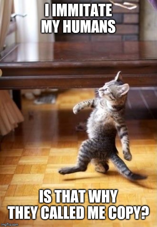 Cool Cat Stroll Meme | I IMMITATE MY HUMANS; IS THAT WHY THEY CALLED ME COPY? | image tagged in memes,cool cat stroll | made w/ Imgflip meme maker