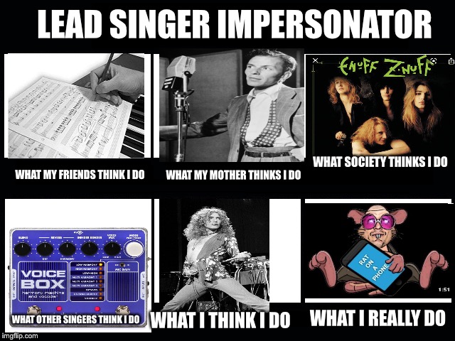 What my friends think I do | LEAD SINGER IMPERSONATOR; WHAT SOCIETY THINKS I DO; WHAT MY FRIENDS THINK I DO; WHAT MY MOTHER THINKS I DO; WHAT I REALLY DO; WHAT OTHER SINGERS THINK I DO; WHAT I THINK I DO | image tagged in what my friends think i do | made w/ Imgflip meme maker