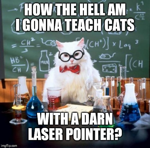 Chemistry Cat | HOW THE HELL AM I GONNA TEACH CATS; WITH A DARN LASER POINTER? | image tagged in memes,chemistry cat | made w/ Imgflip meme maker