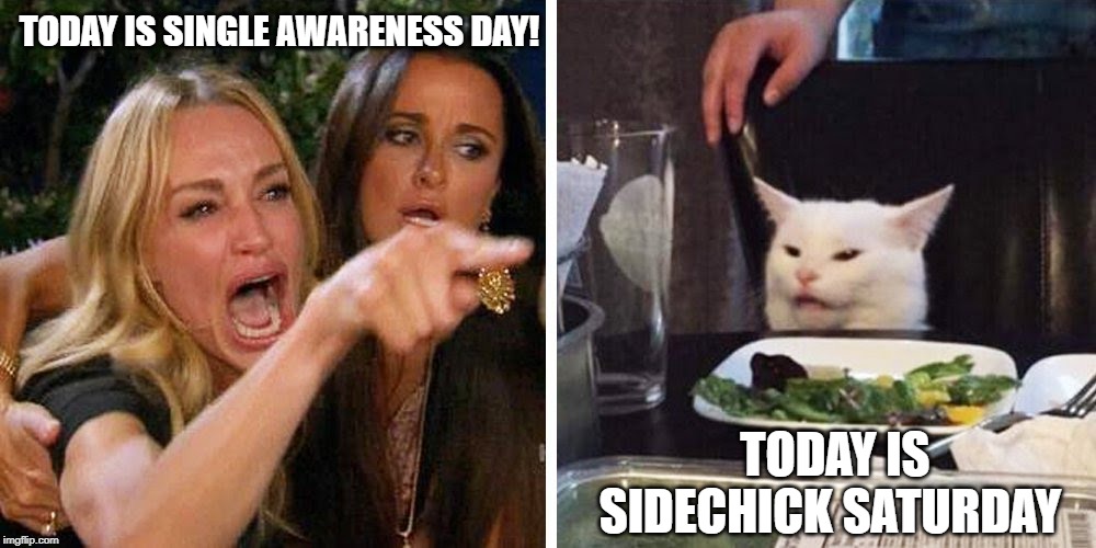 Smudge the cat | TODAY IS SINGLE AWARENESS DAY! TODAY IS SIDECHICK SATURDAY | image tagged in smudge the cat | made w/ Imgflip meme maker