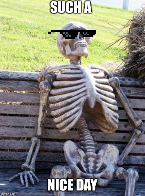 Waiting Skeleton Meme | SUCH A; NICE DAY | image tagged in memes,waiting skeleton | made w/ Imgflip meme maker