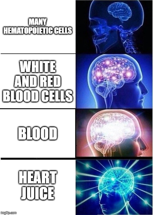 Expanding Brain | MANY HEMATOPOIETIC CELLS; WHITE AND RED BLOOD CELLS; BLOOD; HEART JUICE | image tagged in memes,expanding brain | made w/ Imgflip meme maker