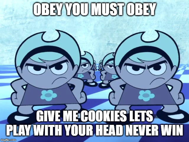 OBEY OBEY | OBEY YOU MUST OBEY; GIVE ME COOKIES LETS PLAY WITH YOUR HEAD NEVER WIN | image tagged in i have no idea what i am doing | made w/ Imgflip meme maker