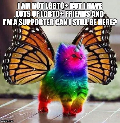 Rainbow unicorn butterfly kitten | I AM NOT LGBTQ+ BUT I HAVE LOTS OF LGBTQ+ FRIENDS AND I'M A SUPPORTER CAN I STILL BE HERE? | image tagged in rainbow unicorn butterfly kitten | made w/ Imgflip meme maker