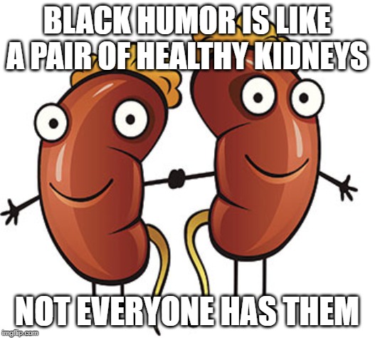 1 Maybe 2? | BLACK HUMOR IS LIKE A PAIR OF HEALTHY KIDNEYS; NOT EVERYONE HAS THEM | image tagged in kidneys | made w/ Imgflip meme maker