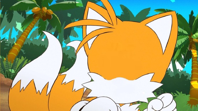 Draw a Face on Tails Blank Meme Template
