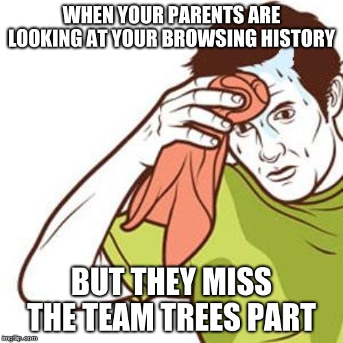 Sweating Towel Guy | WHEN YOUR PARENTS ARE LOOKING AT YOUR BROWSING HISTORY; BUT THEY MISS THE TEAM TREES PART | image tagged in sweating towel guy | made w/ Imgflip meme maker