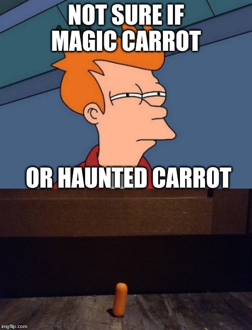 I am not making this up. This happened for real. | NOT SURE IF MAGIC CARROT; OR HAUNTED CARROT | image tagged in memes,futurama fry,carrot,wtf,omg,weird | made w/ Imgflip meme maker