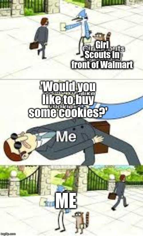 Girl Scouts in front of Walmart; 'Would you like to buy some cookies?'; ME | image tagged in funy memes,girl scout cookies | made w/ Imgflip meme maker