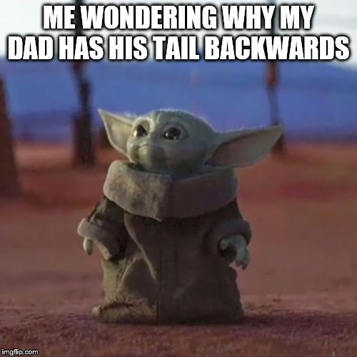 Baby Yoda | ME WONDERING WHY MY DAD HAS HIS TAIL BACKWARDS | image tagged in baby yoda | made w/ Imgflip meme maker
