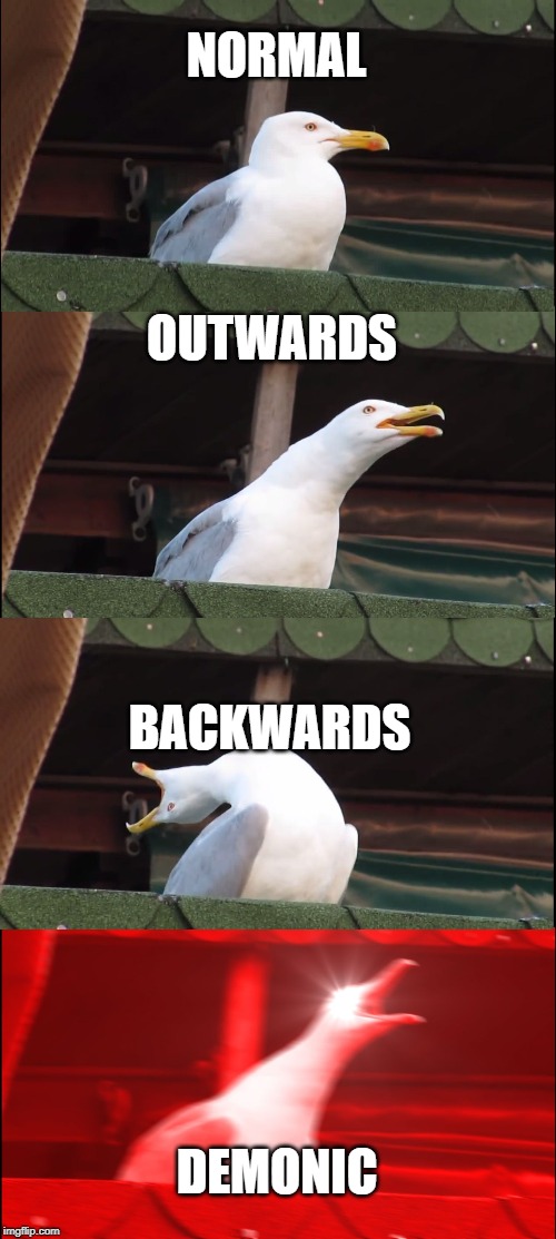 Inhaling Seagull | NORMAL; OUTWARDS; BACKWARDS; DEMONIC | image tagged in memes,inhaling seagull | made w/ Imgflip meme maker