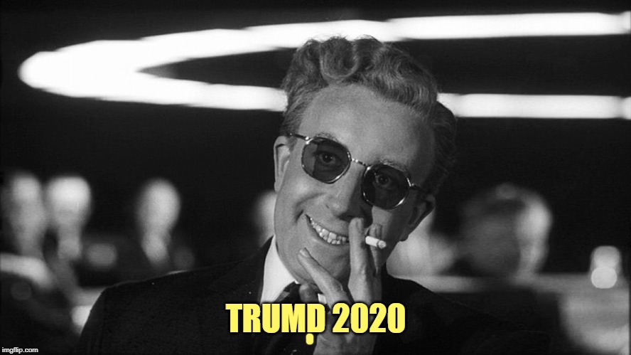 Doctor Strangelove says... | TRUMD 2020 | image tagged in doctor strangelove says | made w/ Imgflip meme maker