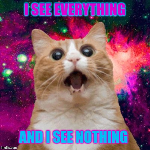 Kitties be trippin | I SEE EVERYTHING AND I SEE NOTHING | image tagged in kitties be trippin | made w/ Imgflip meme maker