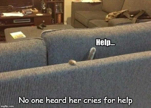 Help | No one heard her cries for help | image tagged in cat humor,help,stuck in sofa | made w/ Imgflip meme maker