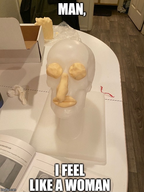 Shania? | MAN, I FEEL LIKE A WOMAN | image tagged in silly | made w/ Imgflip meme maker