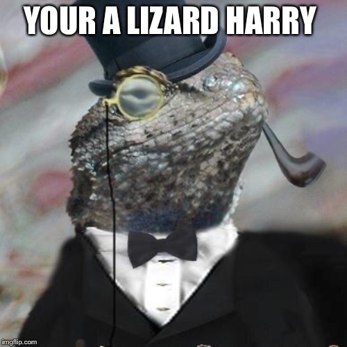 Lizard Squad | YOUR A LIZARD HARRY | image tagged in lizard squad | made w/ Imgflip meme maker