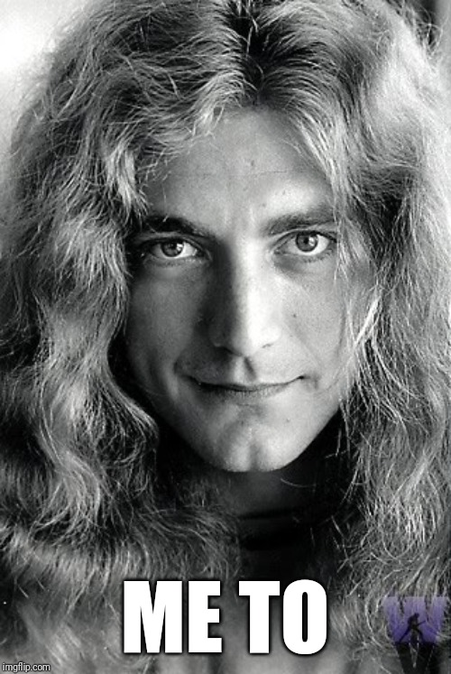 Robert Plant (Led Zeppelin) | ME TO | image tagged in robert plant led zeppelin | made w/ Imgflip meme maker
