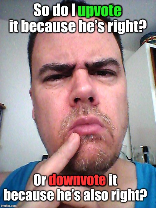 puzzled | So do I upvote it because he’s right? Or downvote it because he’s also right? upvote downvote | image tagged in puzzled | made w/ Imgflip meme maker