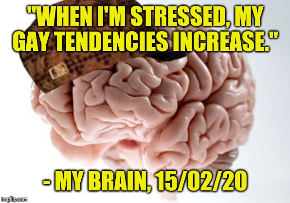 Or it said something similar to that | "WHEN I'M STRESSED, MY GAY TENDENCIES INCREASE."; - MY BRAIN, 15/02/20 | image tagged in memes,scumbag brain,gay,stress | made w/ Imgflip meme maker