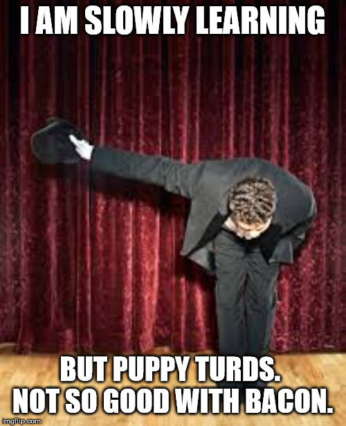 Take a bow. | I AM SLOWLY LEARNING BUT PUPPY TURDS.  NOT SO GOOD WITH BACON. | image tagged in take a bow | made w/ Imgflip meme maker