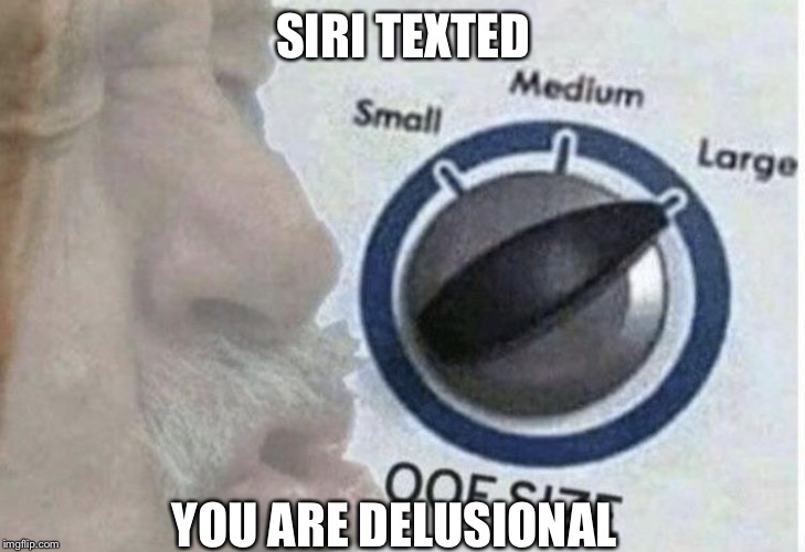 Oof size large | SIRI TEXTED; YOU ARE DELUSIONAL | image tagged in oof size large | made w/ Imgflip meme maker