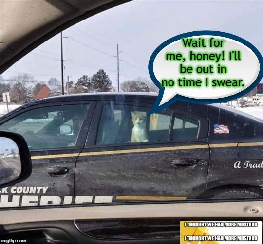 Cat Facing Possible Jail Sentence For Undetermined Crime Accusation | Wait for me, honey! I'll be out in no time I swear. | image tagged in cat,cats,police,cop,jail | made w/ Imgflip meme maker