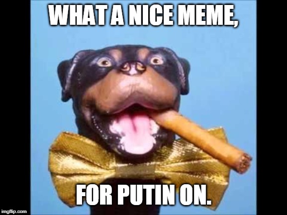 Triumph Comic To Poop On | WHAT A NICE MEME, FOR PUTIN ON. | image tagged in triumph comic to poop on | made w/ Imgflip meme maker