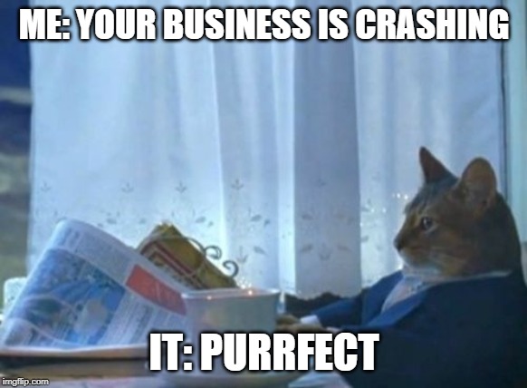 I Should Buy A Boat Cat | ME: YOUR BUSINESS IS CRASHING; IT: PURRFECT | image tagged in memes,i should buy a boat cat | made w/ Imgflip meme maker