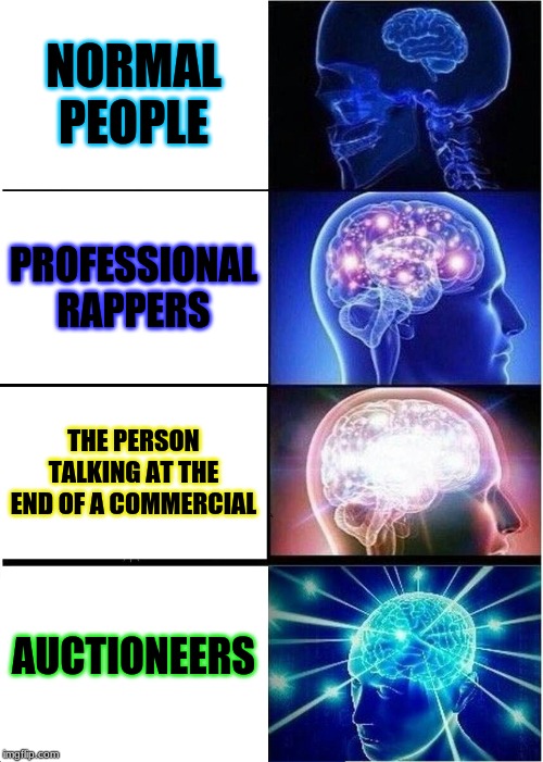 Expanding Brain Meme | NORMAL PEOPLE; PROFESSIONAL RAPPERS; THE PERSON TALKING AT THE END OF A COMMERCIAL; AUCTIONEERS | image tagged in memes,expanding brain | made w/ Imgflip meme maker