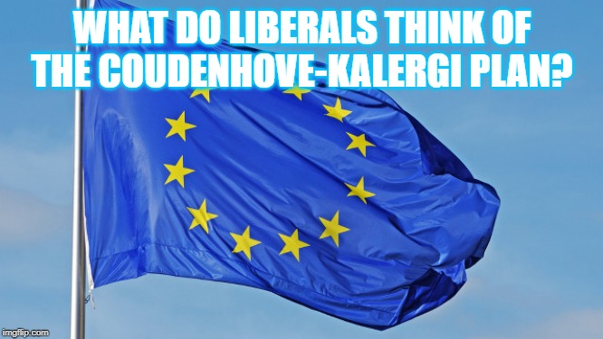 The European Union | WHAT DO LIBERALS THINK OF THE COUDENHOVE-KALERGI PLAN? | image tagged in the european union | made w/ Imgflip meme maker