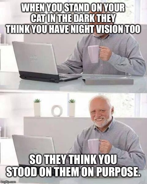 Hide the Pain Harold | WHEN YOU STAND ON YOUR CAT IN THE DARK THEY THINK YOU HAVE NIGHT VISION TOO; SO THEY THINK YOU STOOD ON THEM ON PURPOSE. | image tagged in memes,hide the pain harold | made w/ Imgflip meme maker