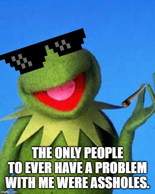 Kermit the Frog Meme | THE ONLY PEOPLE TO EVER HAVE A PROBLEM WITH ME WERE ASSHOLES. | image tagged in kermit the frog meme | made w/ Imgflip meme maker
