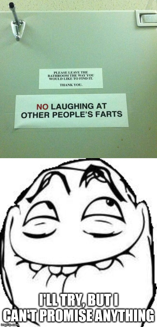 I'LL TRY, BUT I CAN'T PROMISE ANYTHING | image tagged in laughing rage face,funny signs,farts | made w/ Imgflip meme maker