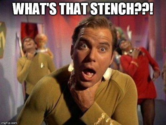 Captain Kirk Choke | WHAT'S THAT STENCH??! | image tagged in captain kirk choke | made w/ Imgflip meme maker