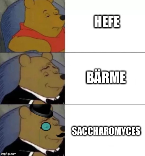 Fancy pooh | HEFE; BÄRME; SACCHAROMYCES | image tagged in fancy pooh | made w/ Imgflip meme maker