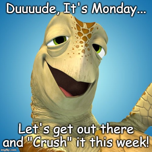 Crush it Monday | Duuuude, It's Monday... Let's get out there and "Crush" it this week! | image tagged in crush,turtle,mondays,work | made w/ Imgflip meme maker