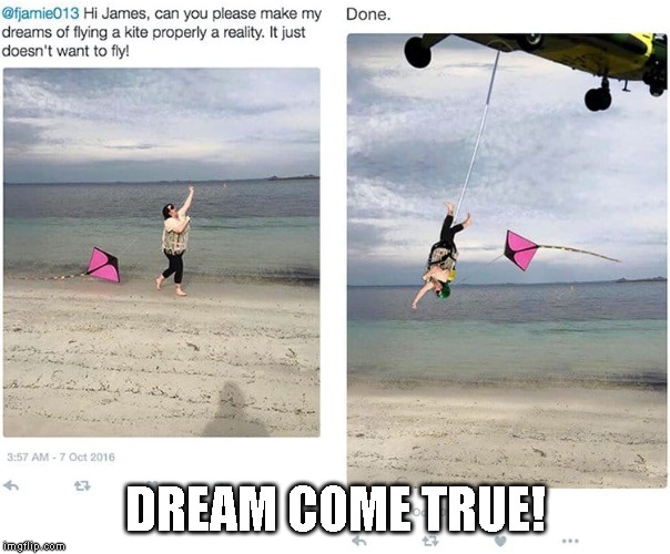 DREAM COME TRUE! | image tagged in memes,funny,dream | made w/ Imgflip meme maker