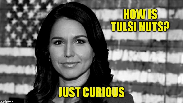 Tulsi Gabbard | HOW IS TULSI NUTS? JUST CURIOUS | image tagged in tulsi gabbard | made w/ Imgflip meme maker