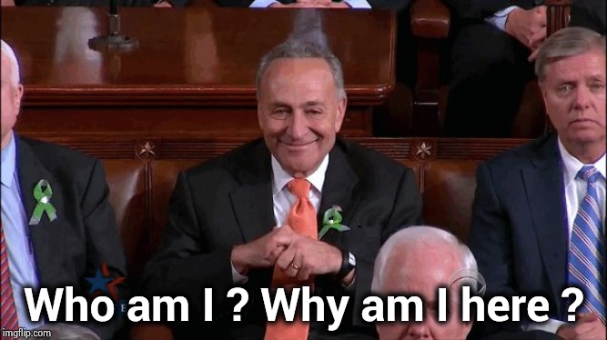 Chuck Schumer Creepy | Who am I ? Why am I here ? | image tagged in chuck schumer creepy | made w/ Imgflip meme maker