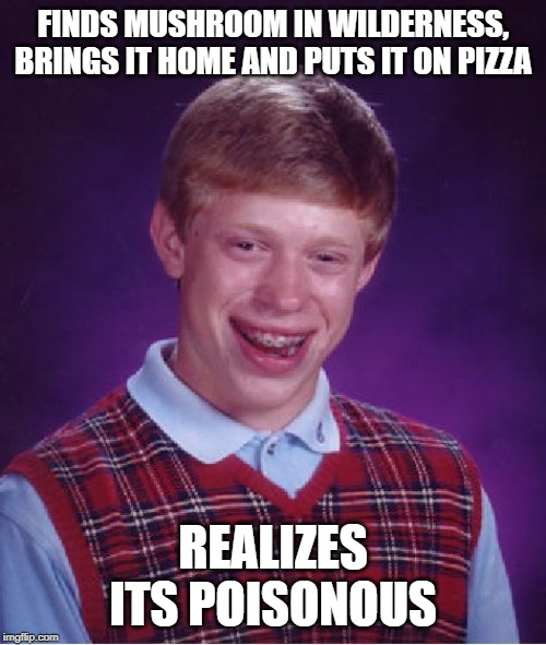 Big oof | FINDS MUSHROOM IN WILDERNESS, BRINGS IT HOME AND PUTS IT ON PIZZA; REALIZES ITS POISONOUS | image tagged in memes,bad luck brian,funny,funny memes,mushrooms,earth | made w/ Imgflip meme maker