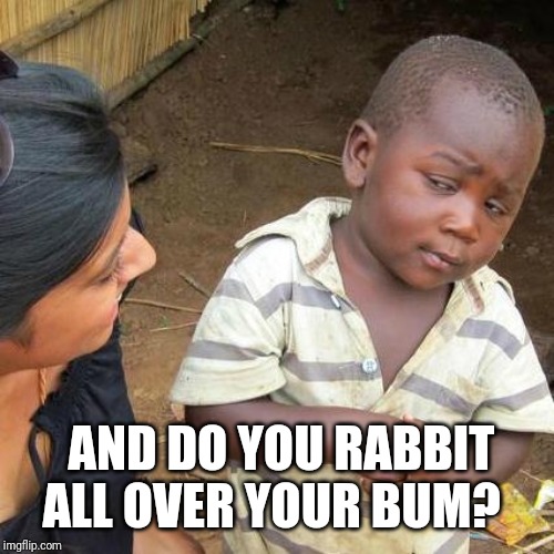 Third World Skeptical Kid Meme | AND DO YOU RABBIT ALL OVER YOUR BUM? | image tagged in memes,third world skeptical kid | made w/ Imgflip meme maker