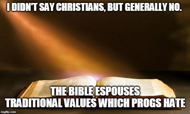 Bible  | I DIDN'T SAY CHRISTIANS, BUT GENERALLY NO. THE BIBLE ESPOUSES TRADITIONAL VALUES WHICH PROGS HATE | image tagged in bible | made w/ Imgflip meme maker