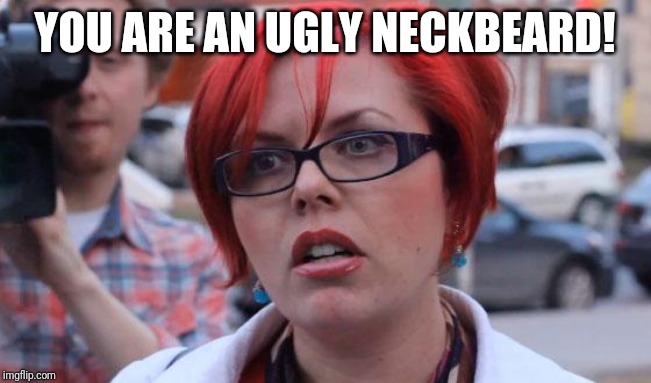 Angry Feminist | YOU ARE AN UGLY NECKBEARD! | image tagged in angry feminist | made w/ Imgflip meme maker