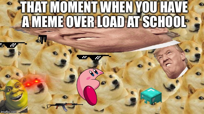 Multi Doge Meme | THAT MOMENT WHEN YOU HAVE A MEME OVER LOAD AT SCHOOL | image tagged in memes,multi doge | made w/ Imgflip meme maker