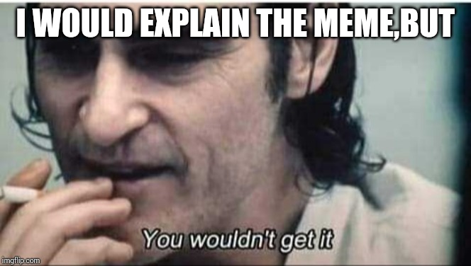 You wouldn't get it | I WOULD EXPLAIN THE MEME,BUT | image tagged in you wouldn't get it | made w/ Imgflip meme maker